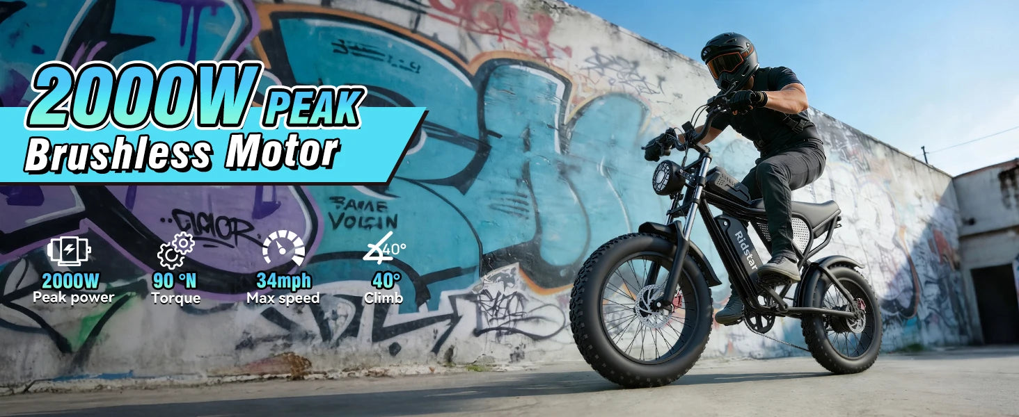 The Star - 2000W 48V20Ah Fat Tire Electric Bike 20x4 Off Road Ebike