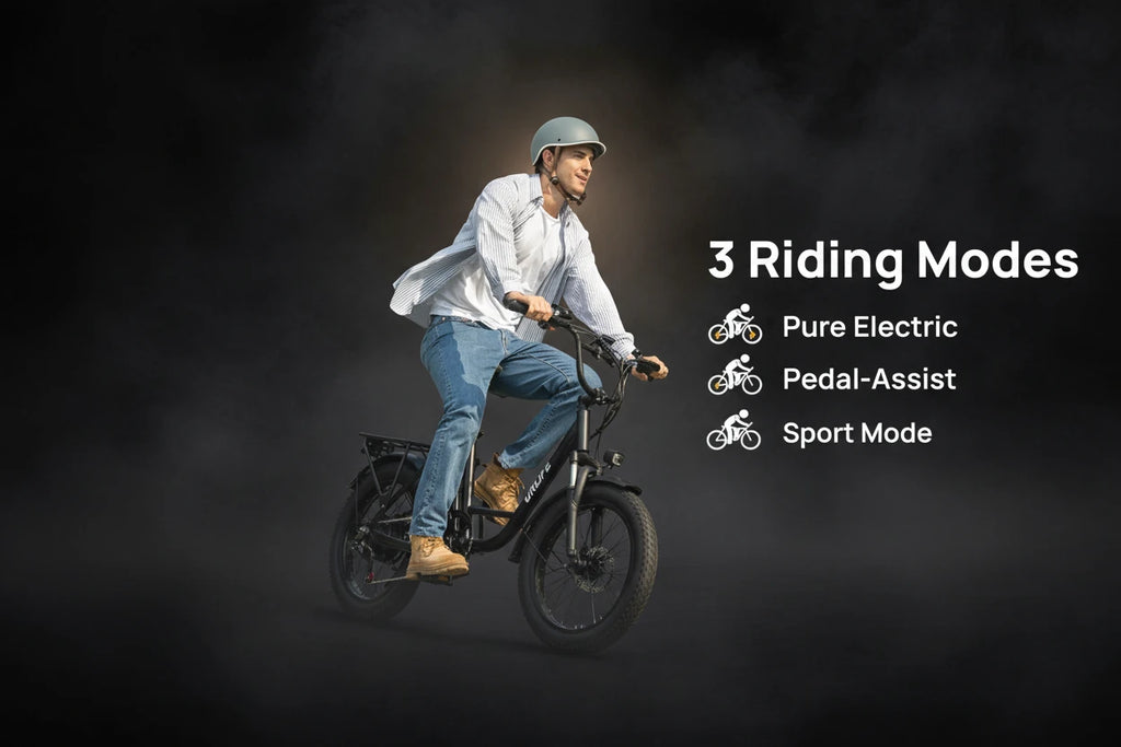 The Life - 1000W 48V/13Ah 20x3" Fat Tire Electric Bike 28MPH