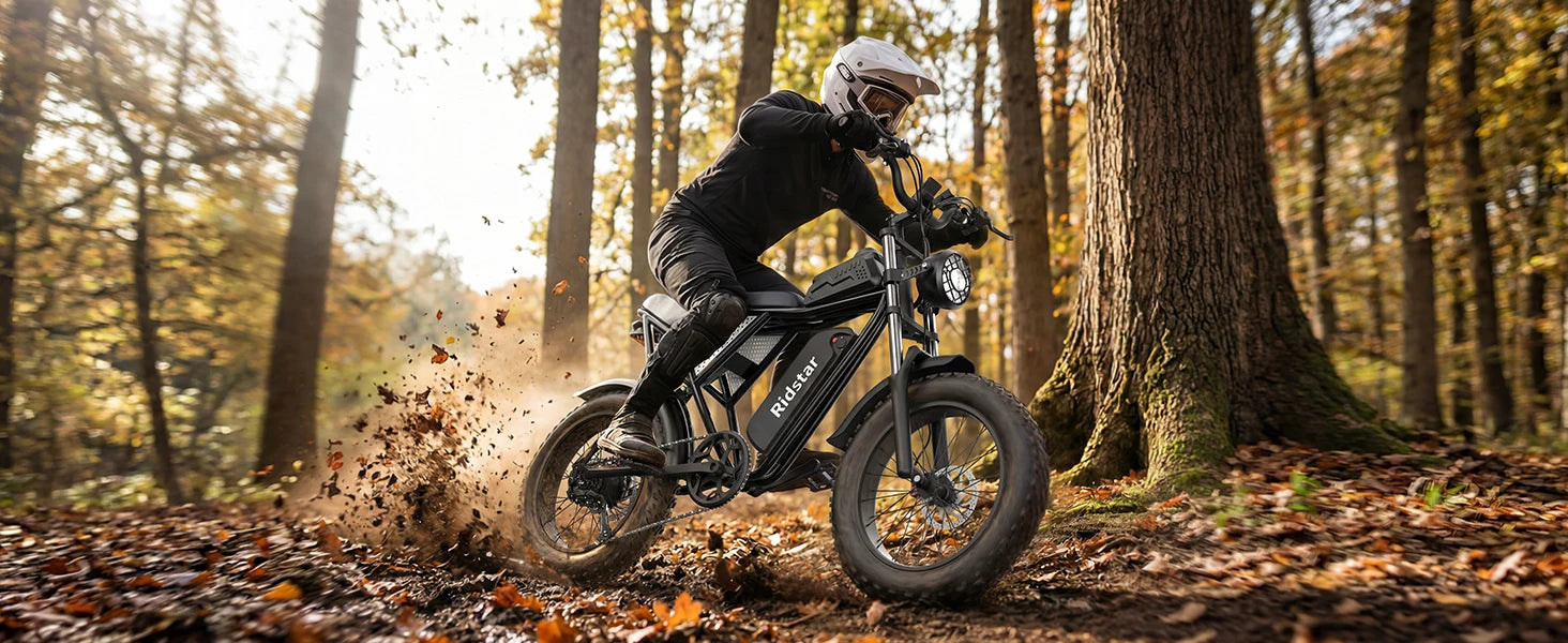 The Star - 2000W 48V20Ah Fat Tire Electric Bike 20x4 Off Road Ebike