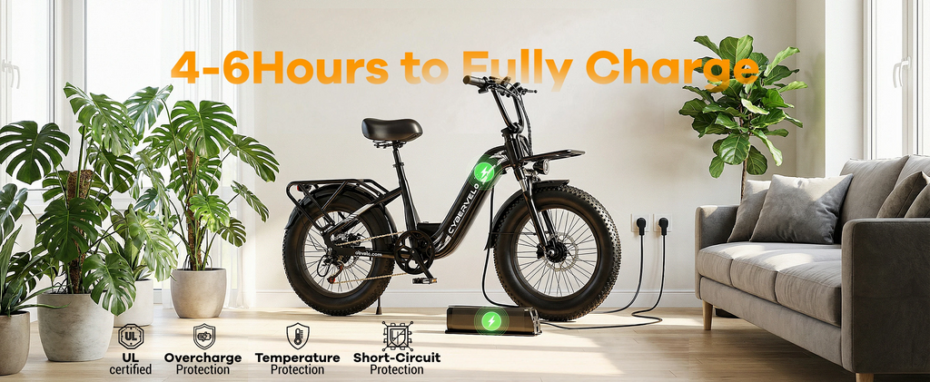 EK8/EK12 - 1000W Electric Bike 48V20Ah 20x4" Fat Tire Step-Through